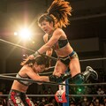 深夜のプロレス技習作　飛び込み編 9枚目