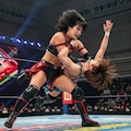 深夜のプロレス技習作　飛び込み編 11枚目