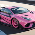 TEAM BLACK ＆PINK  RACING 2枚目