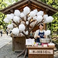 木に成る綿菓子屋さん 4枚目