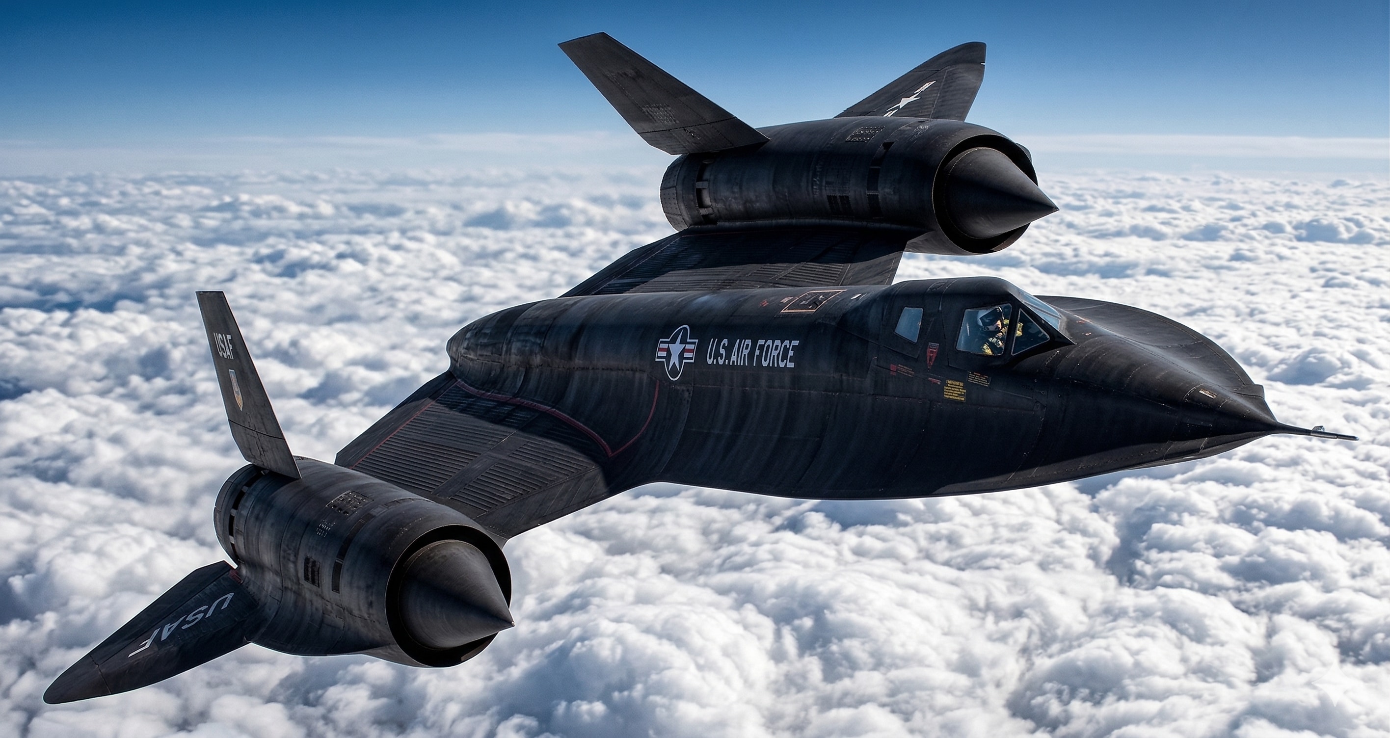 ブラックバード | の人気AIイラスト・グラビア