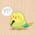 マイクと喋るインコ 3枚目