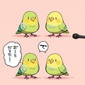 マイクと喋るインコ 6枚目