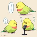 マイクと喋るインコ 4枚目