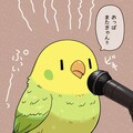 マイクと喋るインコ 8枚目