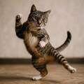 ドジではなさそうな猫 5枚目