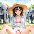 象 11枚目
