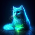 発光する猫 3枚目