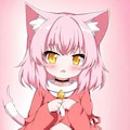 猫耳の女の子 6枚目