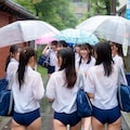 雨の朝の風景260303 2枚目