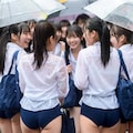 雨の朝の風景260303 3枚目