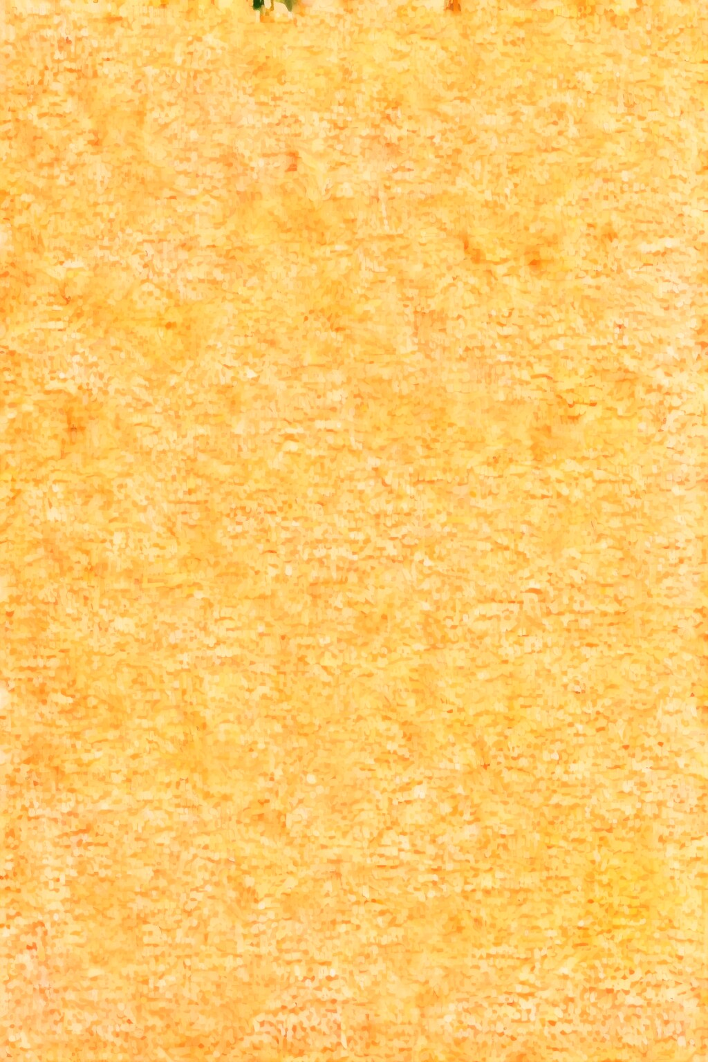 壊れた・・・