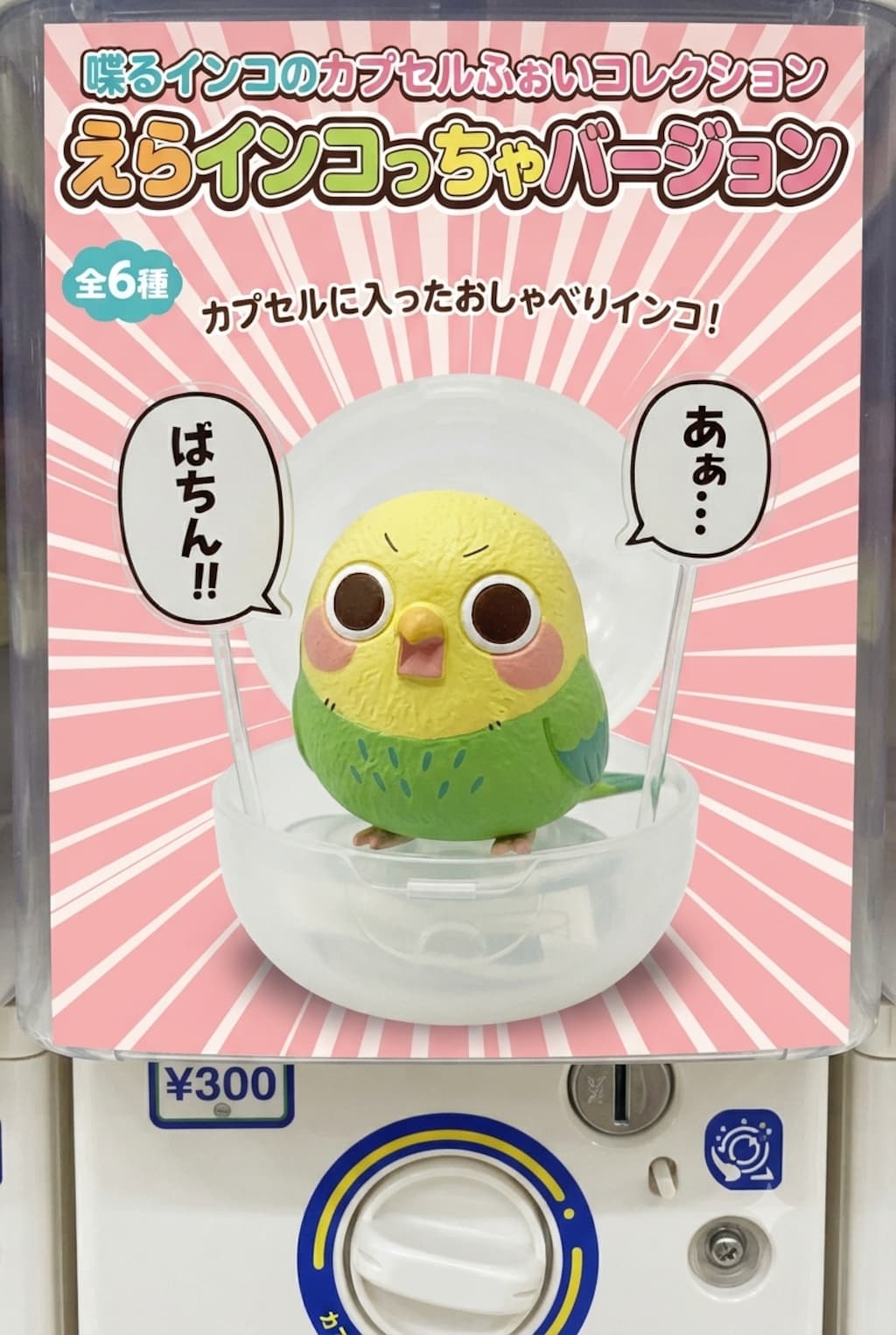 インコの追加ミニフィギュア