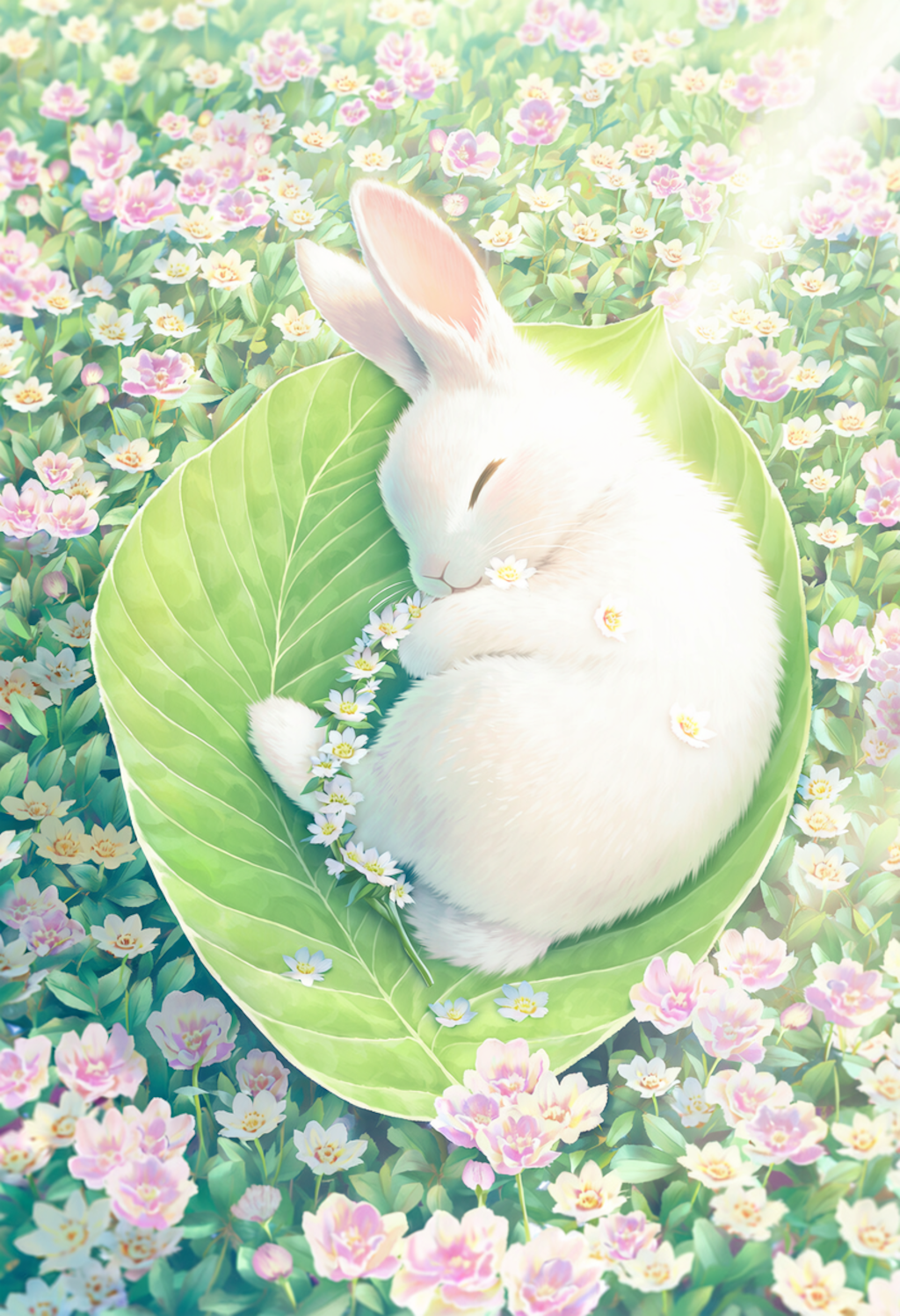 ウサギ
