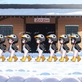 ペンギンちゃんの行進 4枚目