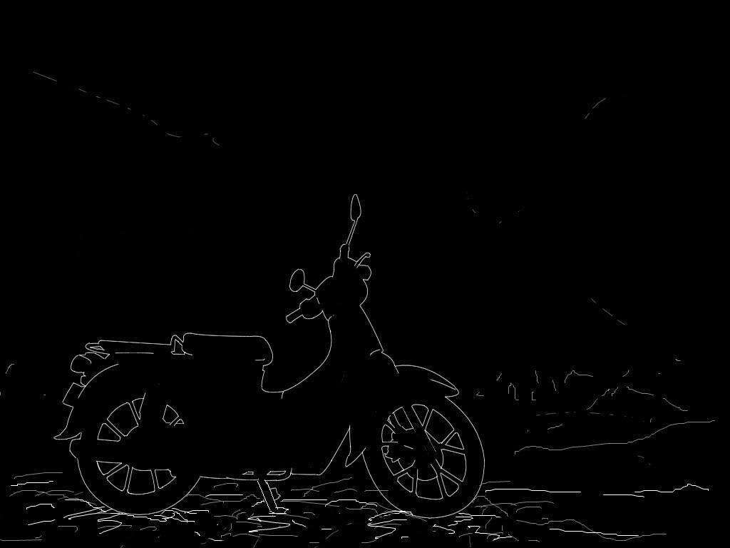 ホンダのカブかよ　　　　　　　　　　　　　　　　　　　　　　ホンダの株価よ