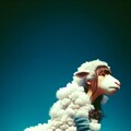 ひつじの雲 7枚目