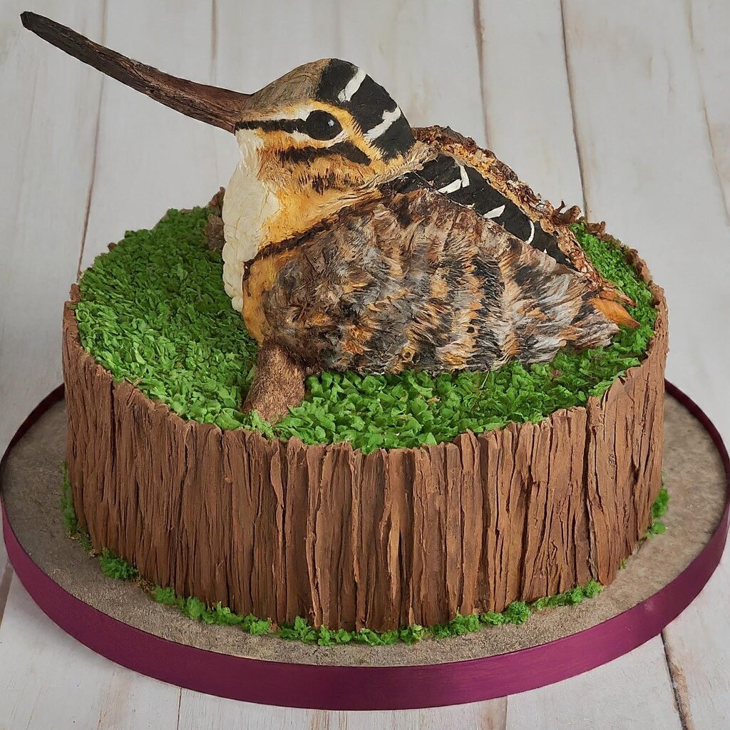 Shorebird cakes
