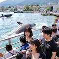 湾内の奥までクジラが入り込んで、間近にまで寄ってきてます。この格好じゃ目立って取材しにくいかも⋯w 2枚目
