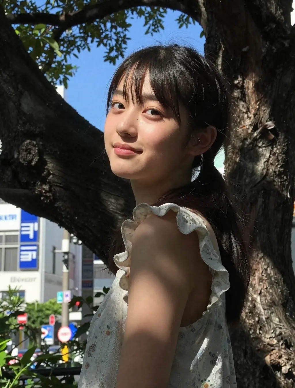 写真集