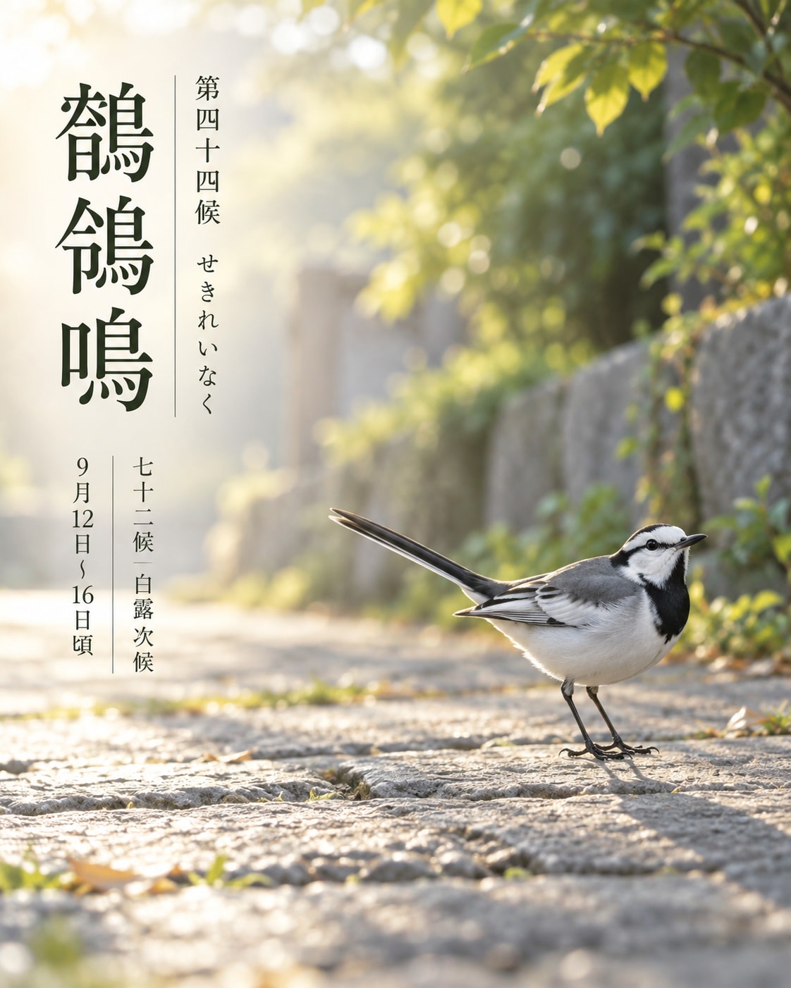 第四十四候「鶺鴒鳴 (せきれいなく)」 9/12～9/16頃 | の人気AIイラスト・グラビア
