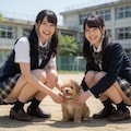 パンチラ 2枚目