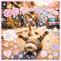 勝手にデコられる猫 3枚目