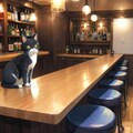 ねこバー 5枚目