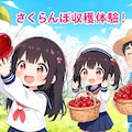 さくらんぼ収穫体験！１ 3枚目