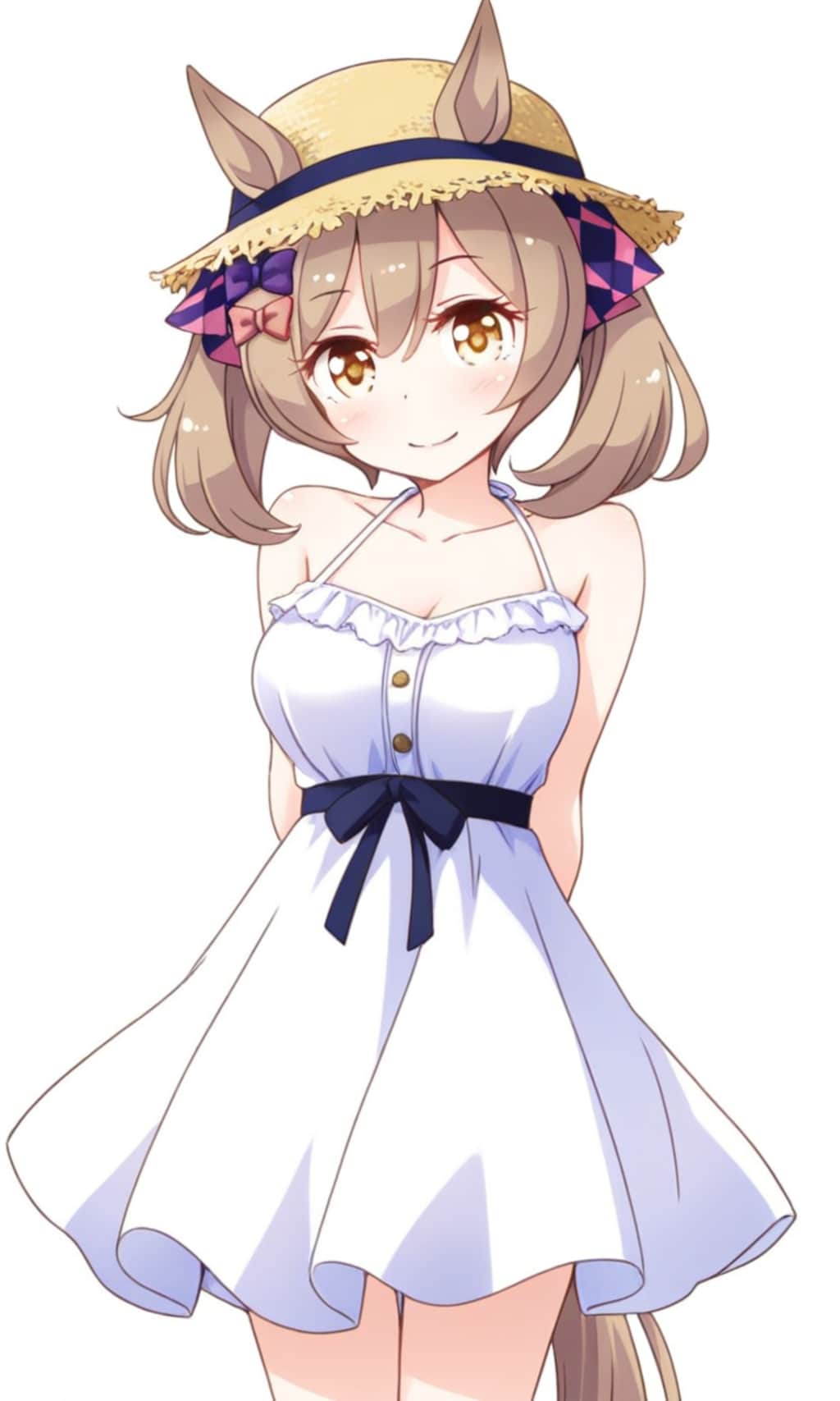 スマートファルコン 麦わら帽子とワンピース