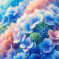ハイドランジア 6枚目