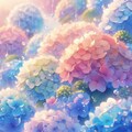 ハイドランジア 11枚目