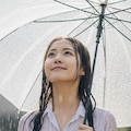 心地いい雨 4枚目