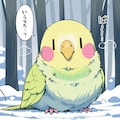 もふもふインコ 4枚目