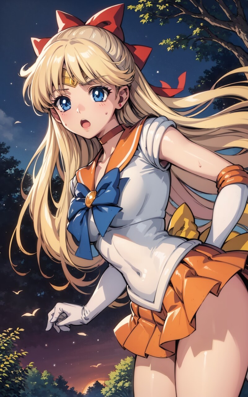 セーラーヴィーナス