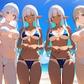 エルフっ娘に人気のビーチ♪2 3枚目