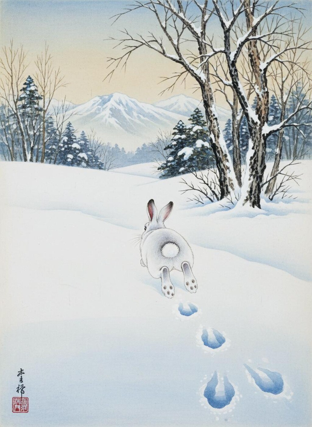 雪の中に生きるものたち