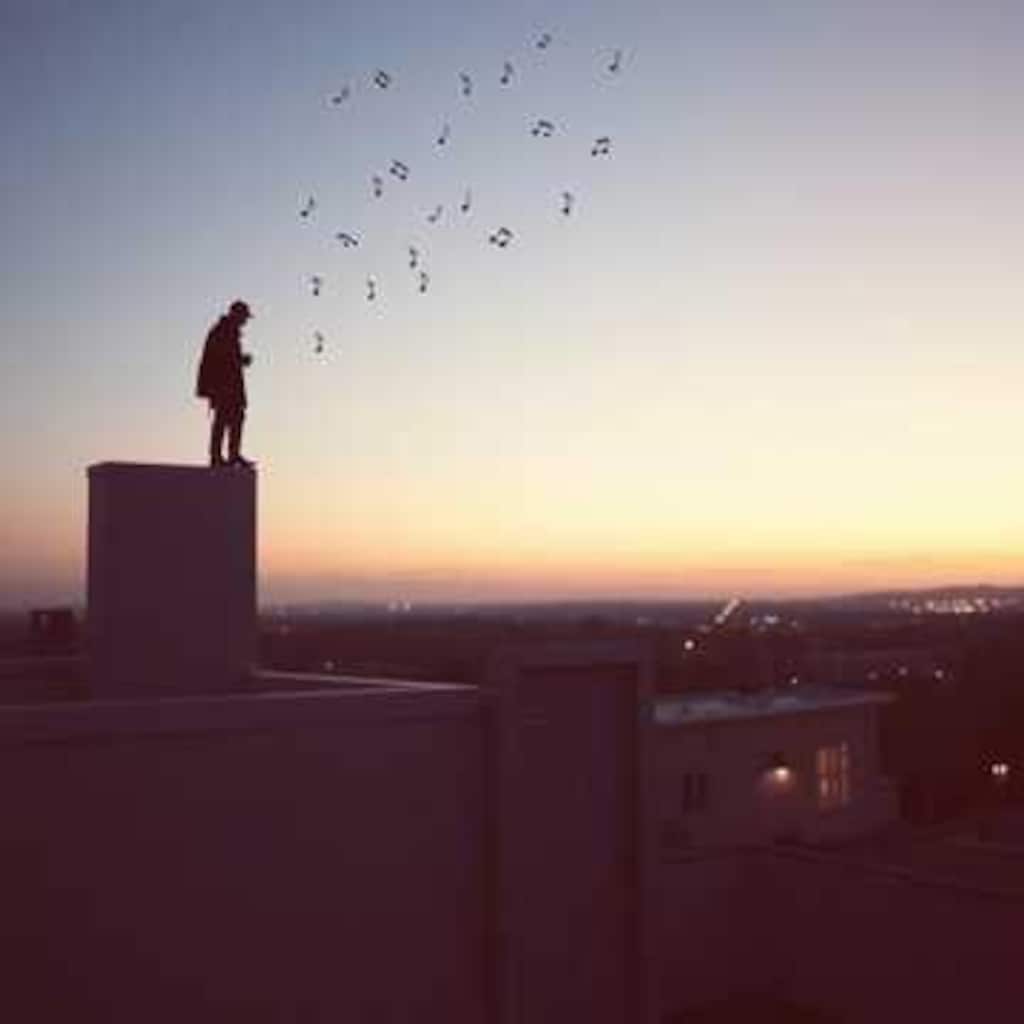 猫orシルエットor王