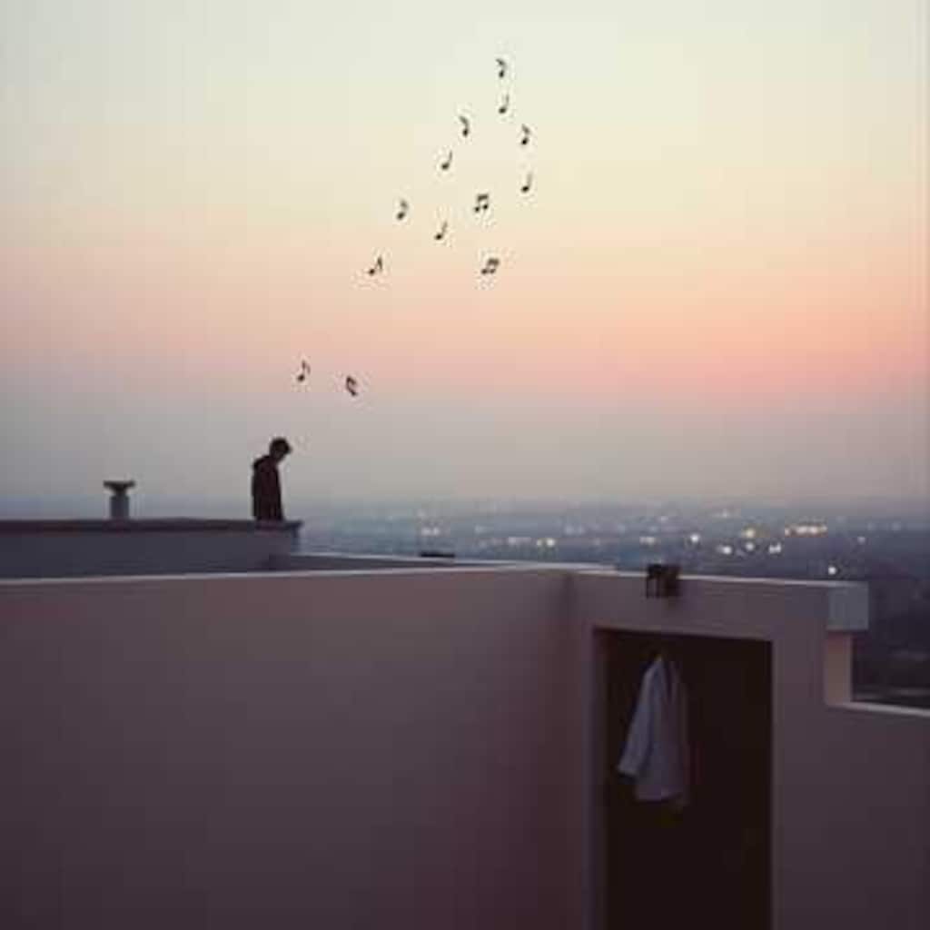 猫orシルエットor王