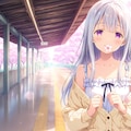 桜のトンネル 5枚目