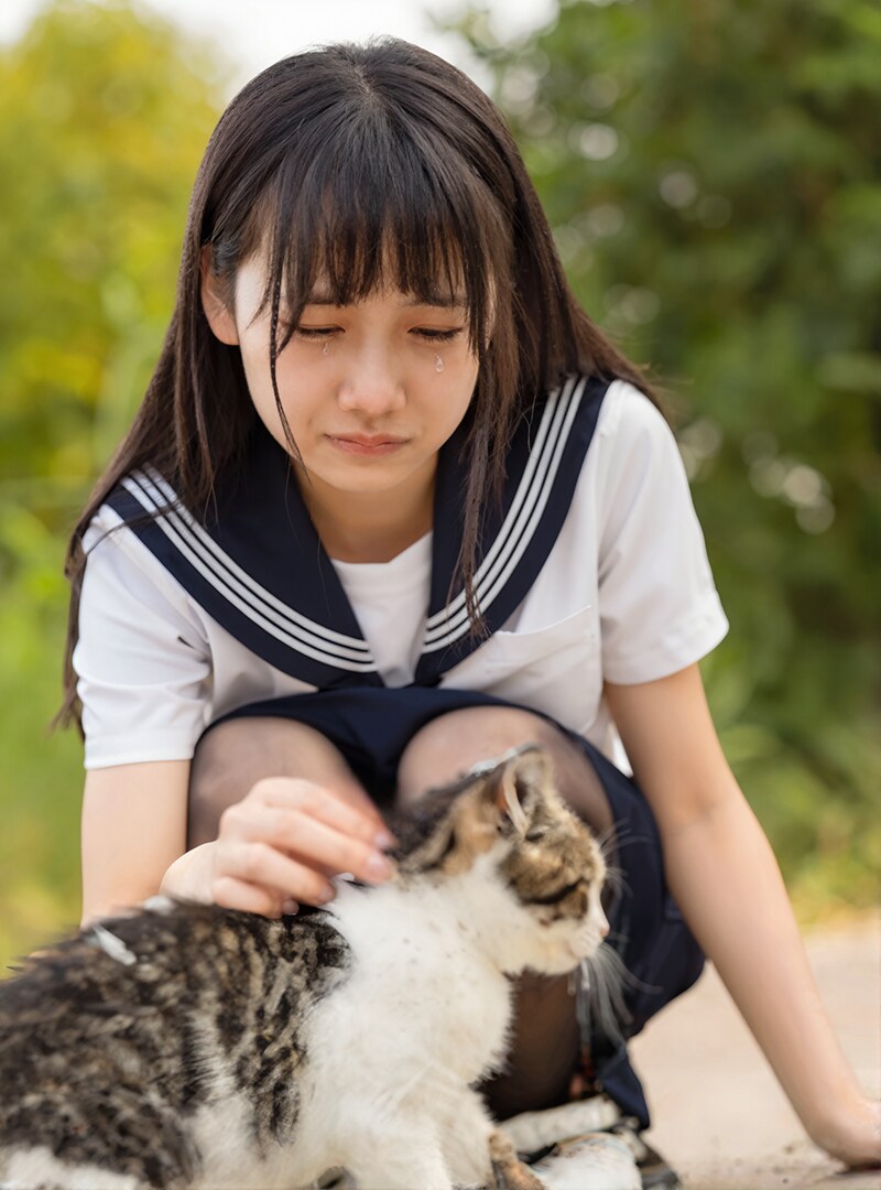 子猫ちゃん | の人気AIイラスト・グラビア