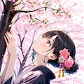 桜と着物 4枚目