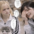 猫の観察 5枚目