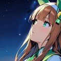 星空に想いを馳せて ~サイレンススズカ 2枚目