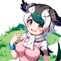 カルガモ 7枚目