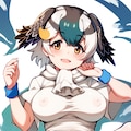 カルガモ 4枚目