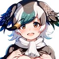 カルガモ 10枚目