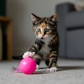 ImageFXを使ってみた　250408 4枚目