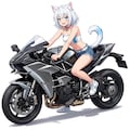 お借りしましたバイクガチャ⑤ 3枚目