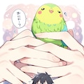 インコのぴーちゃん 12枚目